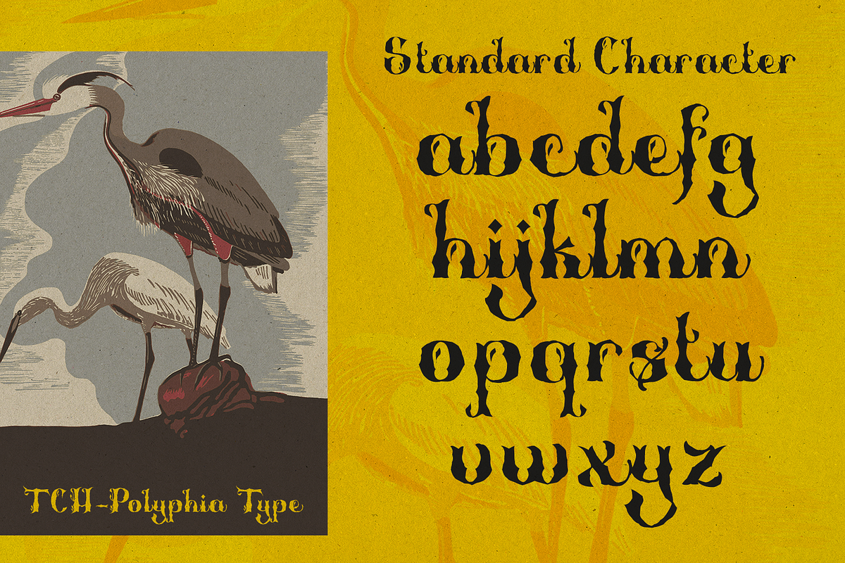 Polyphia - Decorative Font, a Blackletter Font by TypeClassHeroes (Photo 5 of 10)