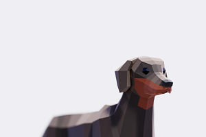 Low Poly Dachshund Dog