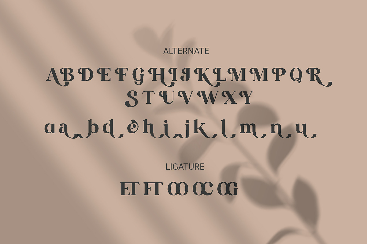 HUNTRO - Elegant Retro Serif Font, a Font by RHD Creative Studio (Photo 10 of 11)