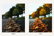 Autumn Vibes - Lightroom Presets, a Plug-in Add-On by ELITE ARTISTS (Thumbnail 3 of 14)