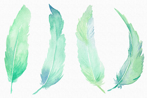 Minted Watercolor Feathers