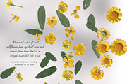 The Garden Treasures Floral Overlays, an Object Graphic by Muse Artist (Thumbnail 13 of 14)
