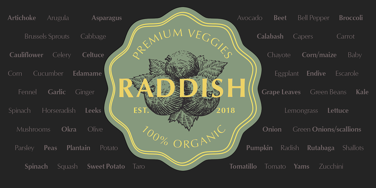 Ophian, a Sans Serif Font by FontSite Inc. (Photo 2 of 5)