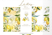 The Exotic Lemon Collection, an Object Illustration by Alisa Mikibith Art (Thumbnail 14 of 18)