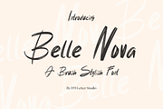 Belle Nova - Stylish Brush Font, a Handwritten Font by Dm Studio (Thumbnail 1 of 10)