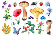 Summer nature illustrations kit, a Texture Illustration by Sundra (Thumbnail 2 of 7)
