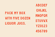 DW Coney - Vintage Hand-Painted Font, a Font by Walker Design Co. (Thumbnail 4 of 5)