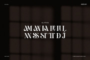 Giamlass - Unique Display Serif, a Serif Font by BrandSemut (Thumbnail 15 of 16)