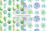 Succulents watercolor set, an Illustration by Green_leaf_17 (Thumbnail 3 of 4)