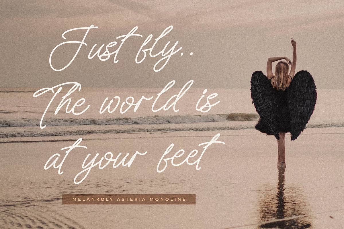 Melankoly Asteria Monoline Font, a Script Font by Letterena Studios Script (Photo 9 of 15)