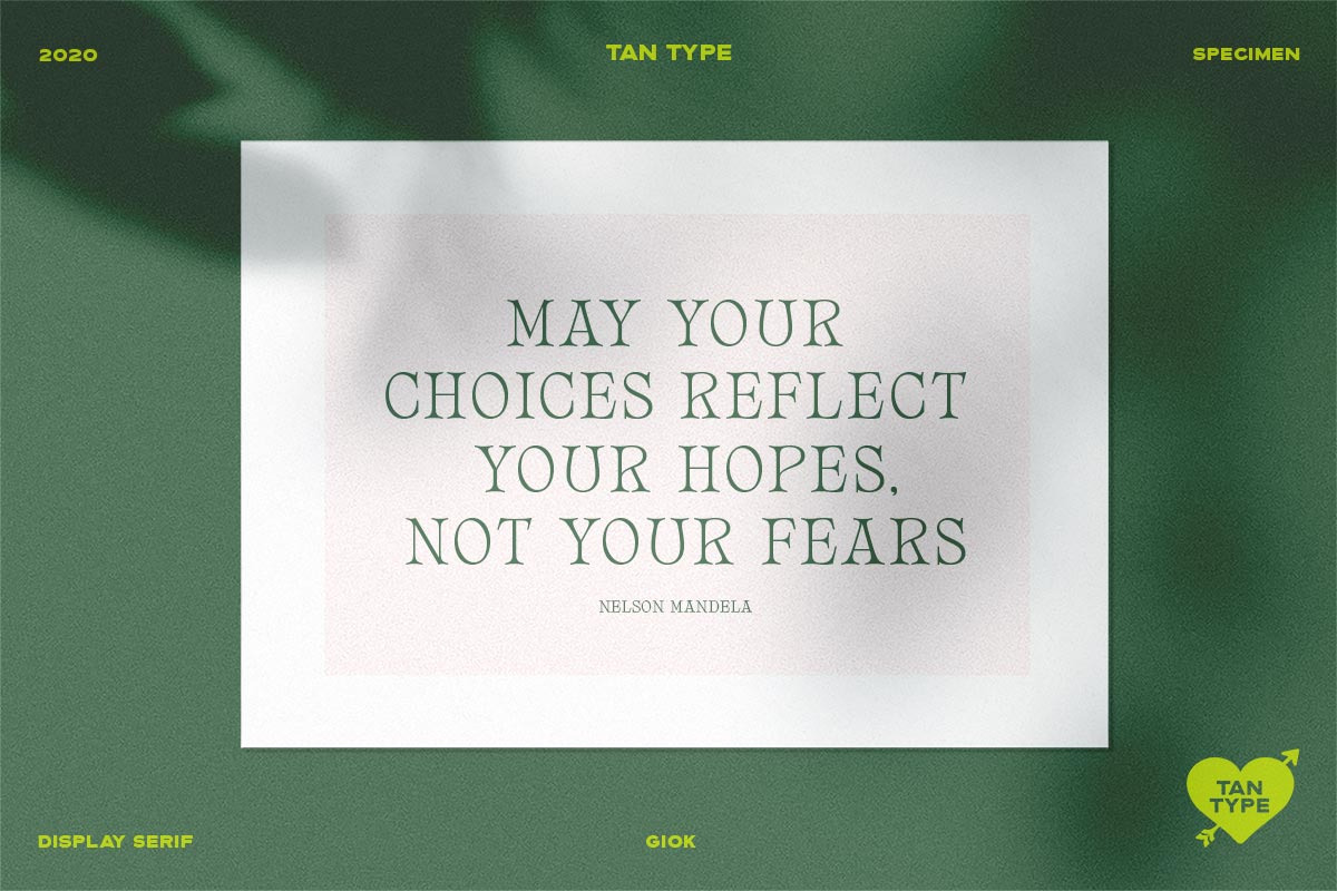 TAN - GIOK, a Serif Font by TanType (Photo 7 of 25)