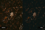 Dark Atmosphere Preset Pack, a Preset Add-On by MadeRed (Thumbnail 6 of 11)