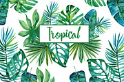Watercolor tropical leaves, an Illustration by Olesya Morokhovets (Thumbnail 1 of 8)