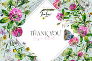 SUMMER CLOVER Watercolor Wildflowers, an Illustration by Inna Sinano (Thumbnail 17 of 17)