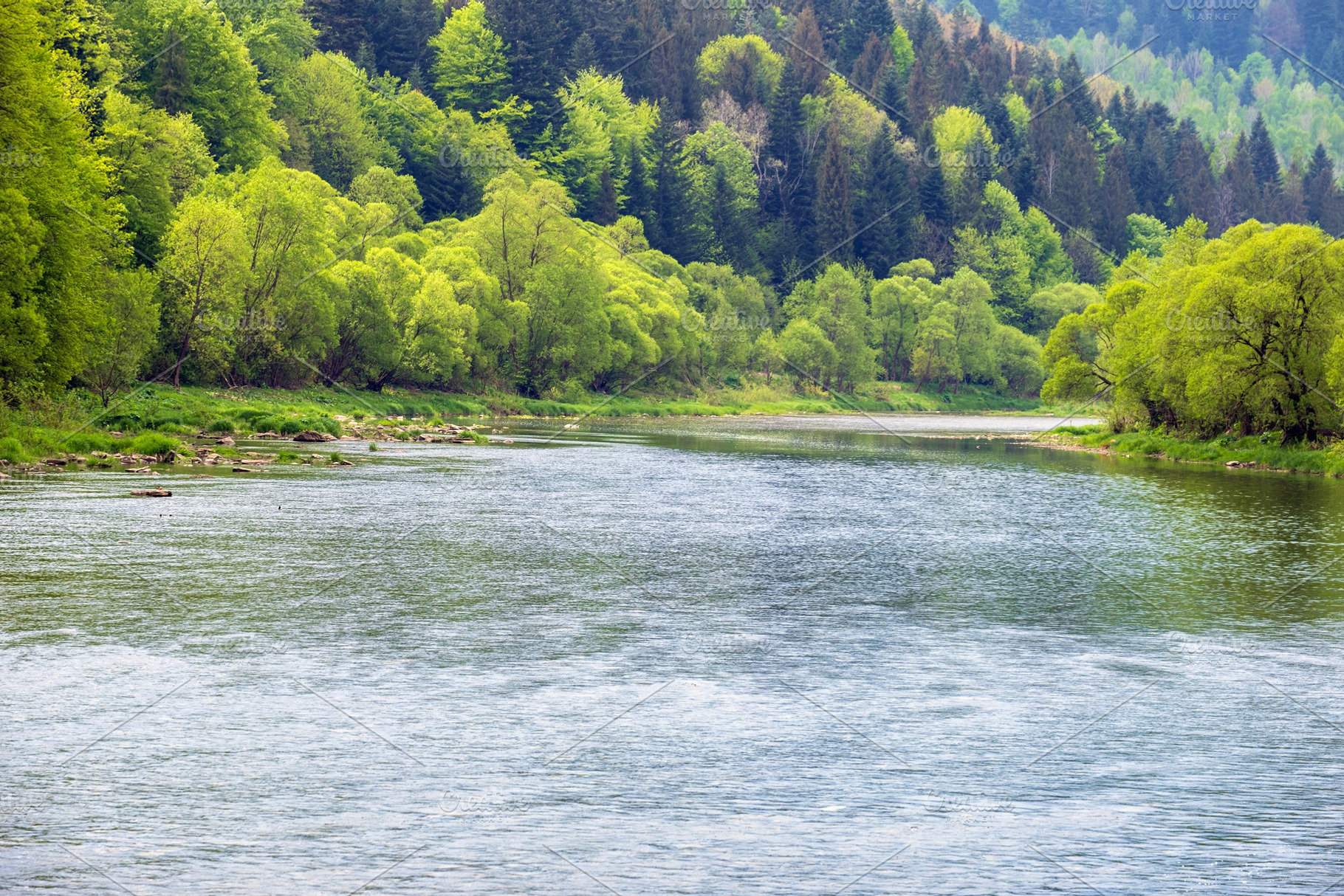 Spring picturesque river band view. Mountains scenery view behin, a Nature Photo by YuriyB