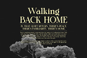 Fegiran Serif Font, a Serif Font by Graphicxell (Thumbnail 7 of 8)