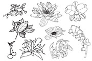 Hand drawn flowers, a Graphic by lycka (Thumbnail 3 of 4)