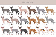 Peterbald cat, an Animal Illustration by pet design shop (Thumbnail 2 of 6)