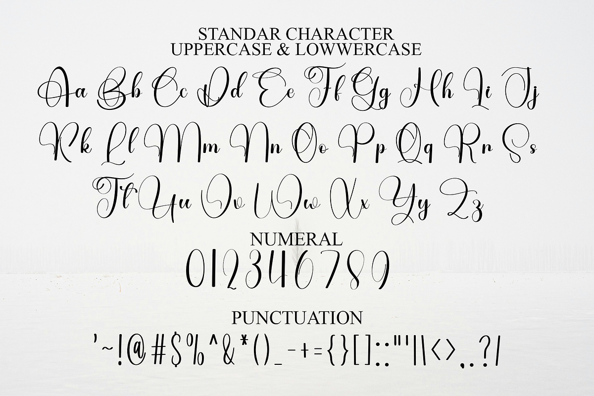 Natural Absolute, a Handwritten Font by InermediaSTUDIO (Photo 6 of 8)