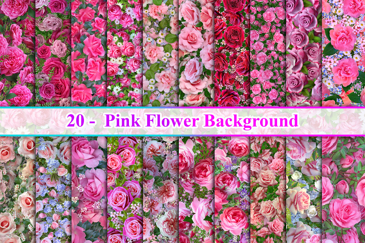 Pink Flower Background, a Background Photo by Digital Studio (Photo 1 of 18)