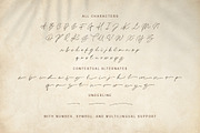 Nice Memory - Nostalgic Script, a Script Font by Sarid Ezra (Thumbnail 7 of 13)