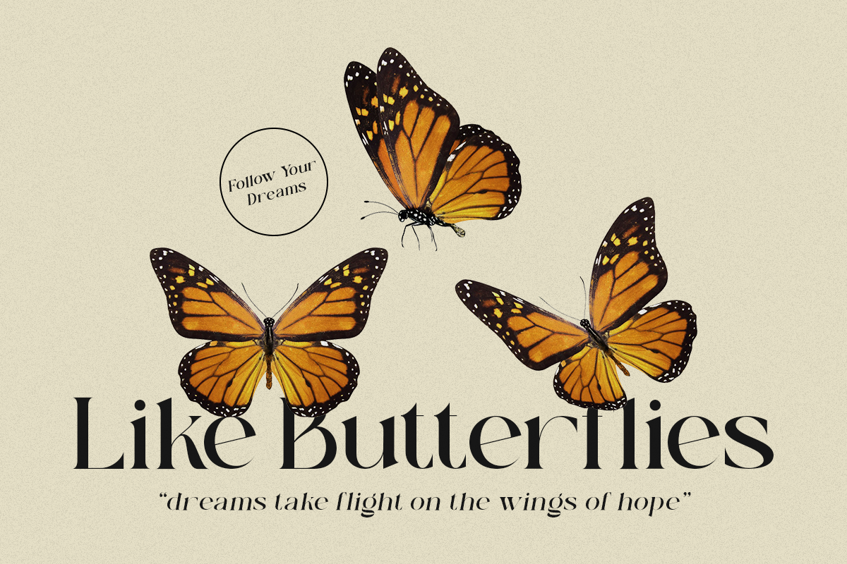 Heart Breaker - Classy Elegant Serif, a Serif Font by Sohel Studio (Photo 2 of 10)