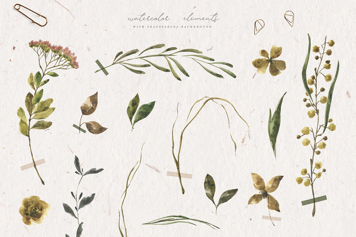 Herbarium Watercolor Collection, a Texture Illustration by Julia Dreams (Photo 3 of 8)