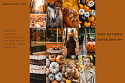 67 Cozy October Mood Stock Photos, a Beauty & Fashion Photo by MarkoPresets (Thumbnail 2 of 10)
