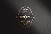 Modern & Minimalist Logo Templates, a Branding & Logo Template by P.F. Creative Lab (Thumbnail 4 of 5)