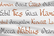 Mutafa’il | Arabic Style Typeface, a Script Font by gracetype_studio (Thumbnail 7 of 14)