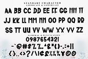 Book Vintage, a Script Font by FreshTypeINK (Thumbnail 4 of 8)