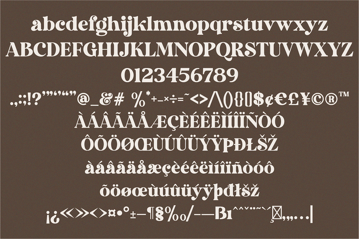 Dakosta | Retro Serif Typeface, a Serif Font by MchCrafter (Photo 13 of 15)