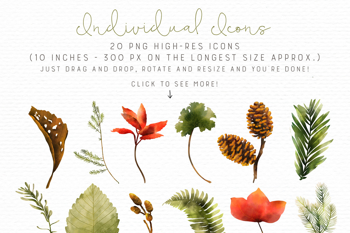Botanical Forest - Brushes and Icons, an Illustration by Sandra Mejia (Photo 4 of 13)