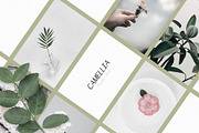 Camaly | san serif, a Sans Serif Font by white supply (Thumbnail 3 of 5)