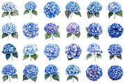 Blue Hydrangea Watercolor Clipart, an Illustration by Sublimation Artist (Thumbnail 2 of 6)