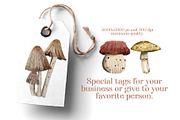 mushrooms clip art hand drawing, a Food Illustration by Cocoa studio by Eliza M (Thumbnail 4 of 4)