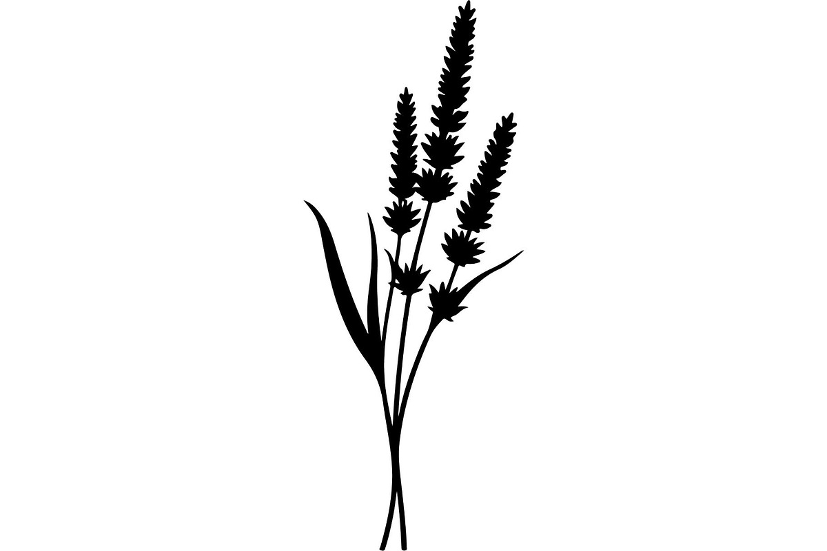 Decorative Tribal Feather Vector, an Object Graphic by Designer_Momina (Photo 8 of 18)