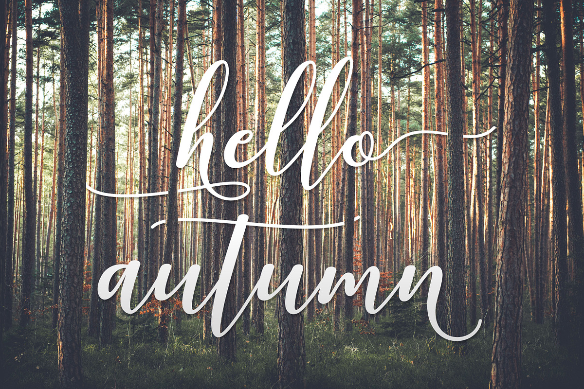 Kissita Script, a Script Font by Barland Design (Photo 2 of 10)