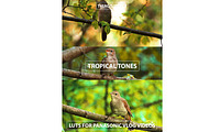 Cinematic Panasonic V-Log LUTs, a Preset Add-On by Creative House (Thumbnail 1 of 4)