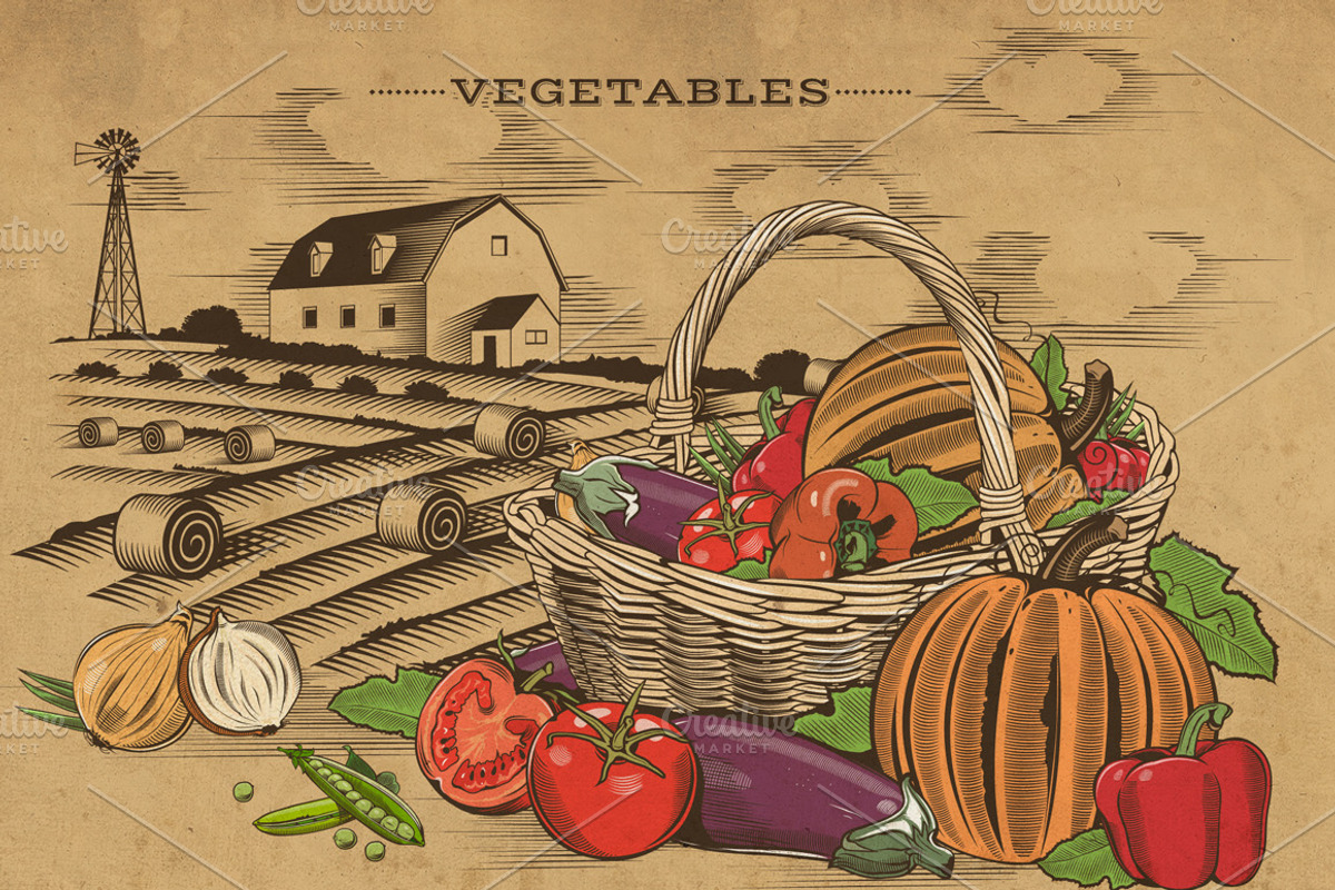 Vintage Fruits & Vegetables Baskets, an Object Graphic by ConceptCafe (Photo 5 of 7)