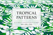15 Tropical patterns + BONUS, a Pattern Graphic by Art of Sun (Thumbnail 1 of 9)