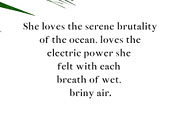 Abed Serif Font Family Pack, a Serif Font by Creativetacos (Thumbnail 4 of 5)