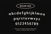 Geofish Vintage Font, a Sans Serif Font by Yukita Creative (Thumbnail 11 of 12)