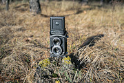 Old School Cameras ~ 52 HQ Photos, a Technology Photo by Barn Images (Thumbnail 4 of 7)