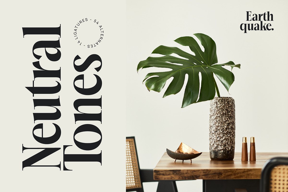 Mailyo Modern Serif Display Font, a Serif Font by timelesstype.co (Photo 3 of 20)