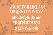 Regint | Display Serif, a Serif Font by Runsell Studio (Thumbnail 11 of 15)