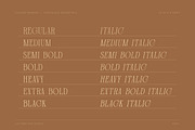 Closed Memory Nostalgic Editorial, a Serif Font by Lettertype Studio (Thumbnail 2 of 16)