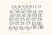 Aveltin Elegant Stylish Serif Font, a Serif Font by Heinzel Std (Thumbnail 11 of 16)
