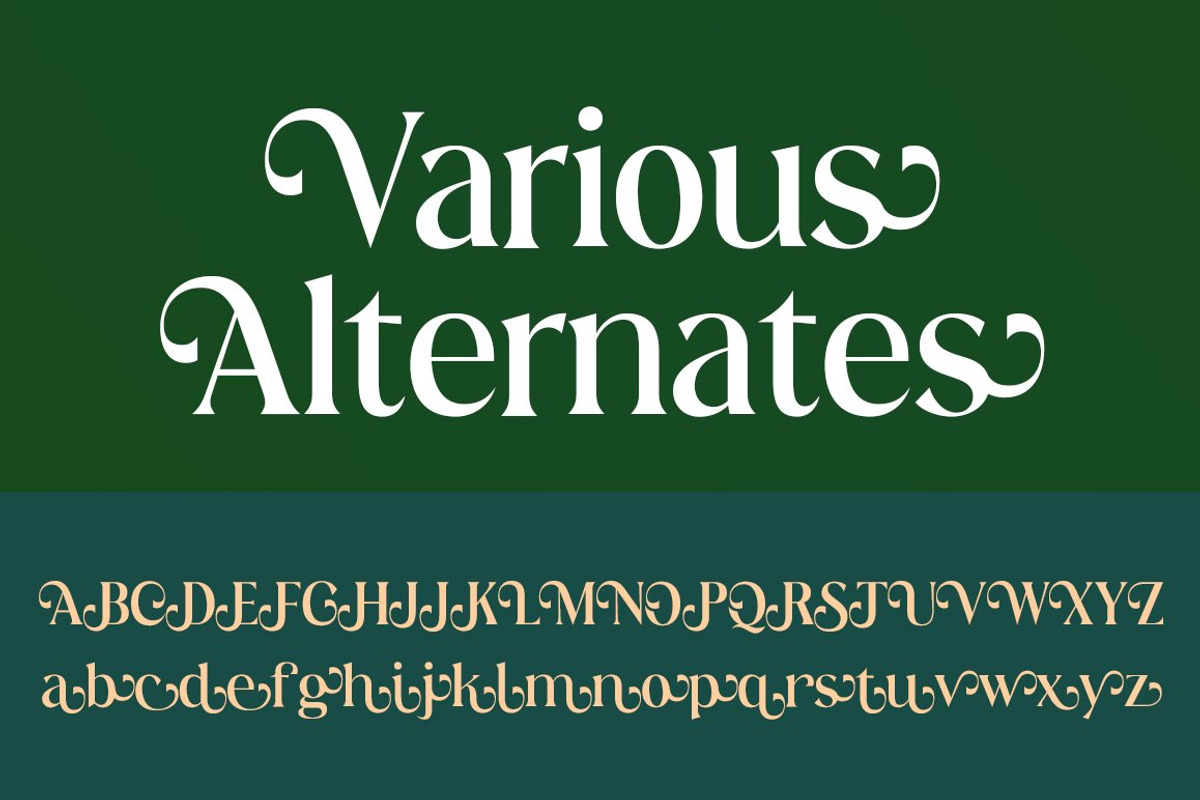 Abigeta 50% Discount, a Serif Font by Adam Azura (Photo 12 of 14)