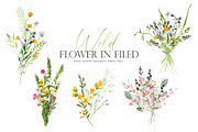 Watercolor flower -Wild flower, an Illustration by Beigetime (Thumbnail 3 of 9)